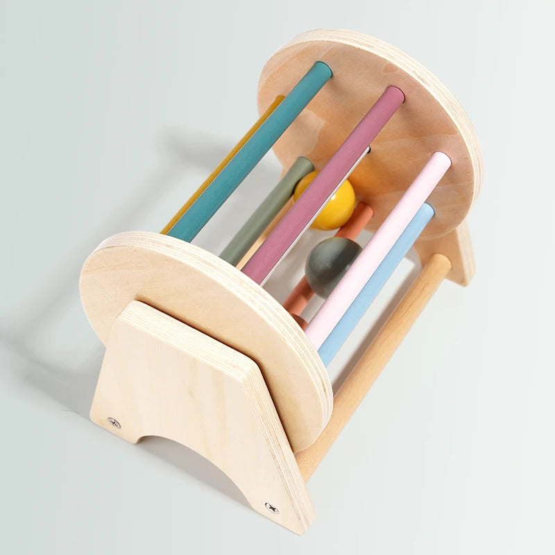Montessori Infant Wooden Toys