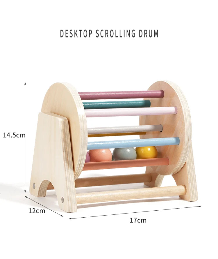 Montessori Infant Wooden Toys